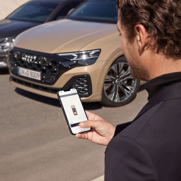 Assistance systems Audi Q8 SUV